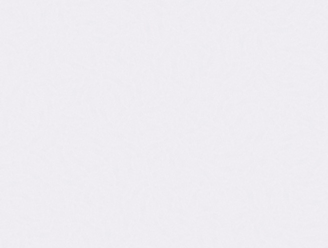 Silestone White Storm14