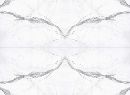 New Torano Statuario