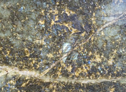 Lemurian
